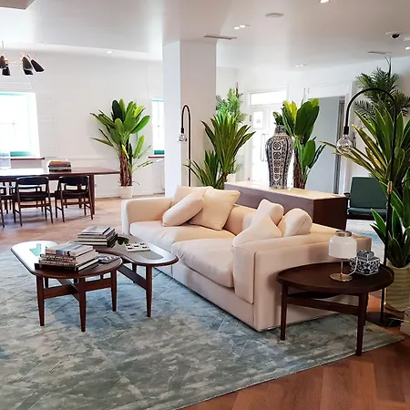 Resort Brown House &
