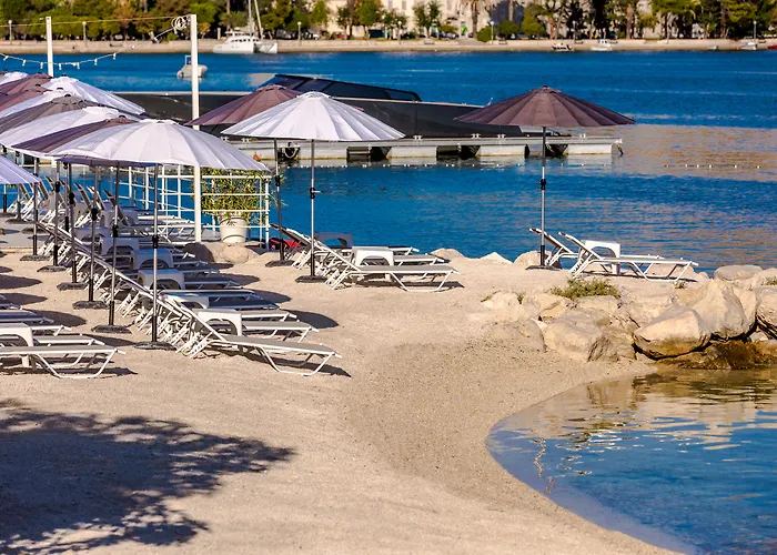 Brown House & トロギール